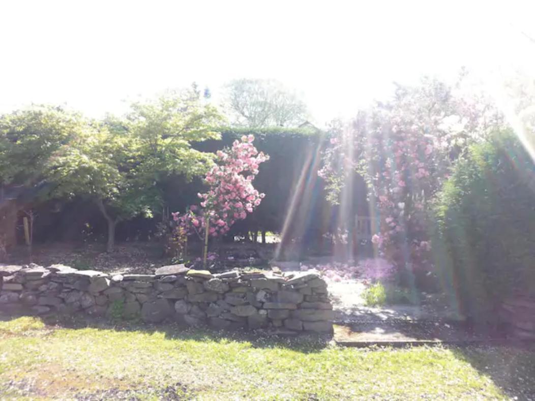 Home Comforts In Peaceful 2 Acres Inverness Exterior photo