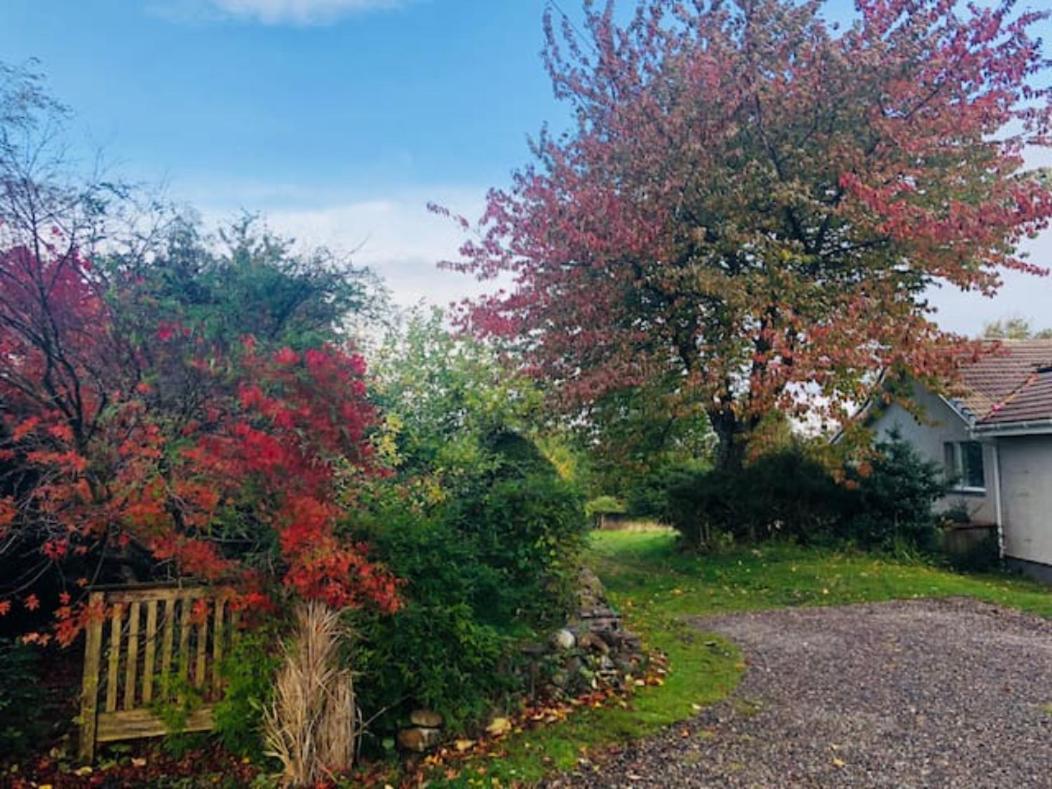 Home Comforts In Peaceful 2 Acres Inverness Exterior photo